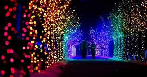 Top 10 Best christmas lights display Near Rocklin, California .